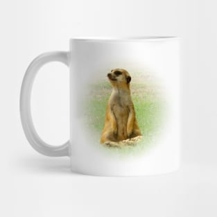 Meerkat Mug